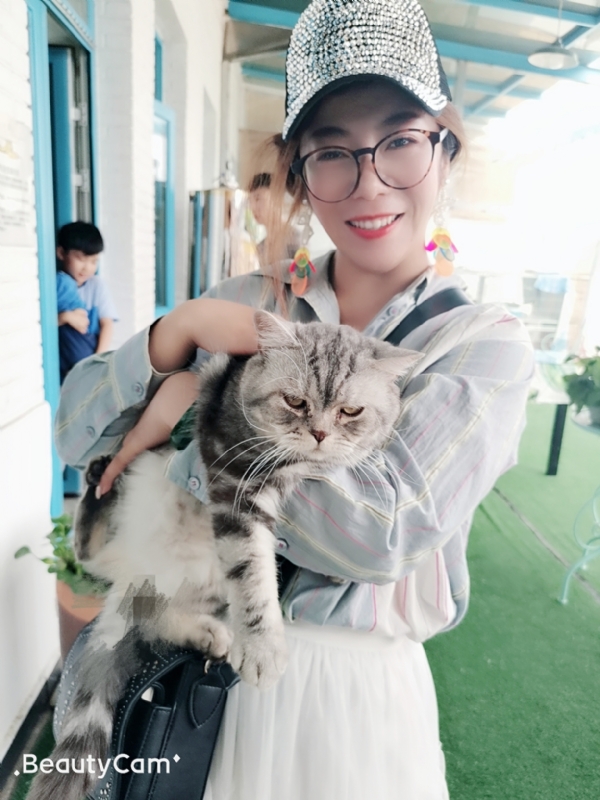 小黑猫的第一张照片--顺昌交友网