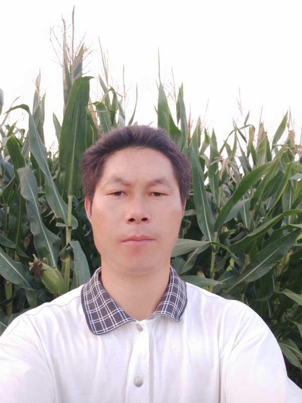 四海游龙的第一张照片--顺昌交友网