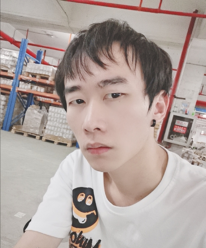 巷子里的猫的第一张照片--顺昌交友网